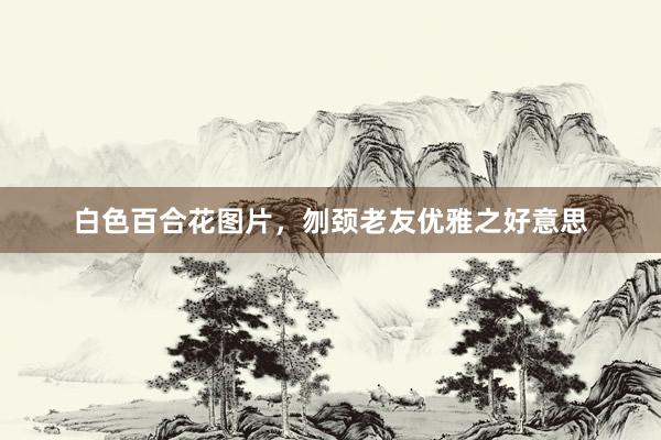 白色百合花图片,刎颈老友优雅之好意思