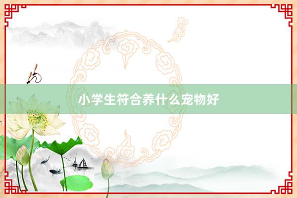 小学生符合养什么宠物好