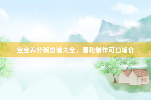 宝宝养分粥食谱大全，温和制作可口辅食